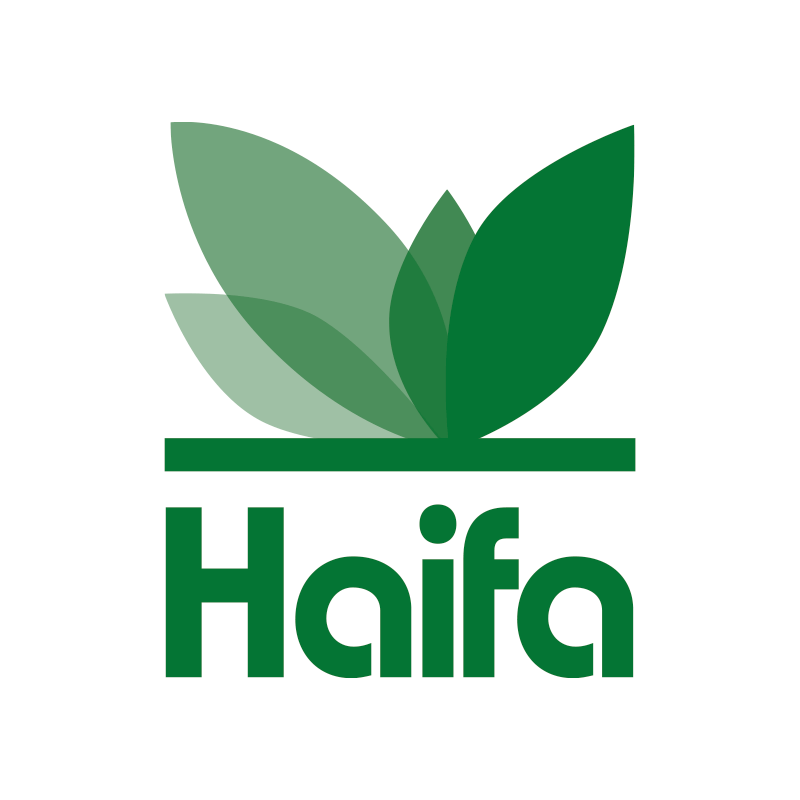 HAIFA