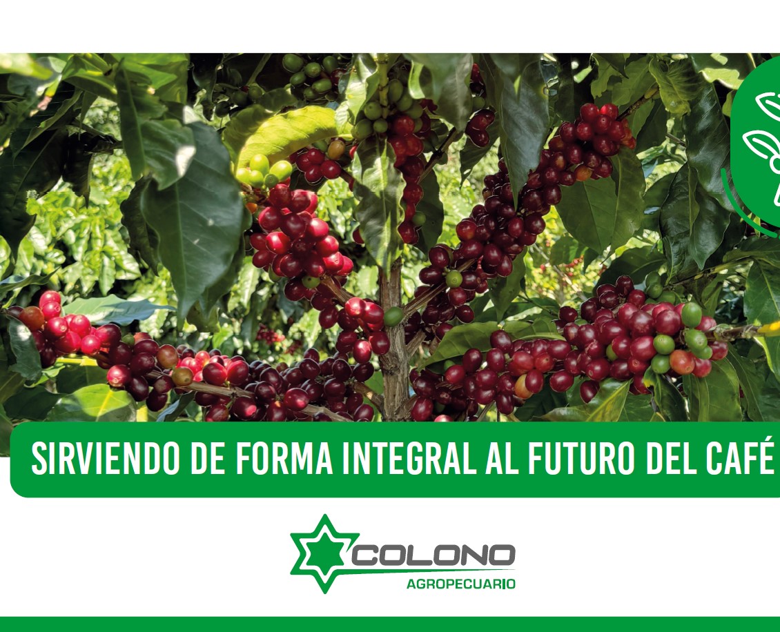 Colono Agropecuario - Catalogos