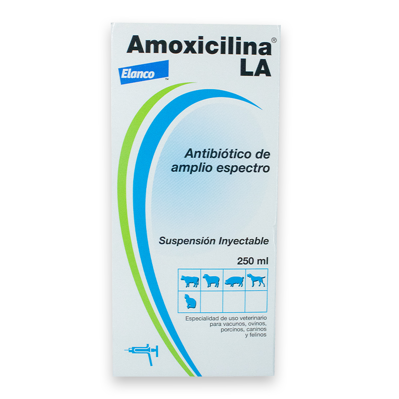 Comprar amoxil en línea