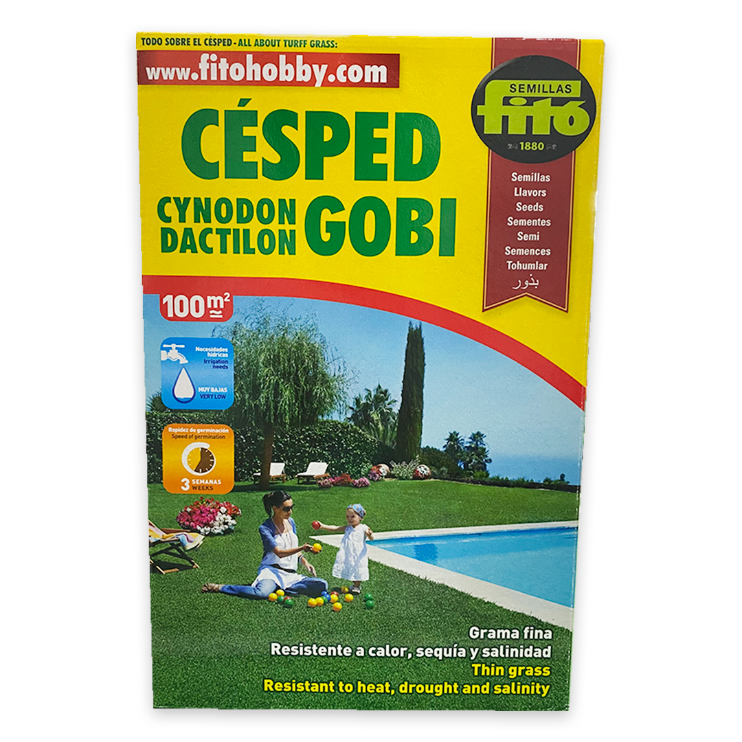 CESPED CYNODON DACTYLON GOBI SUP