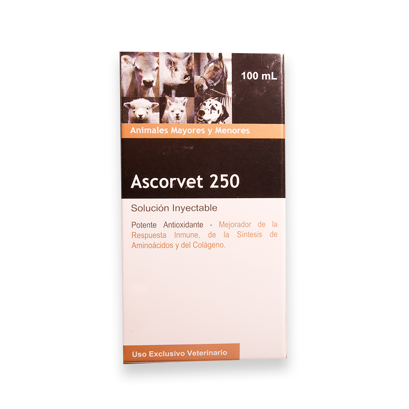 ASCORVET 250MG 100ML -MONT.