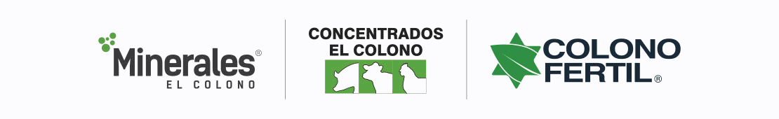 Marcas recomendadas